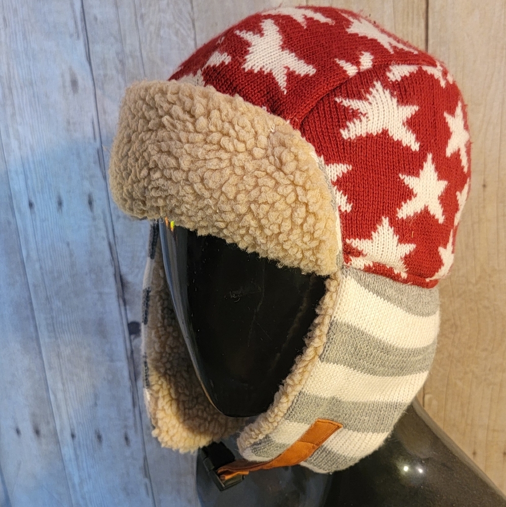 Winter Hat - image 1
